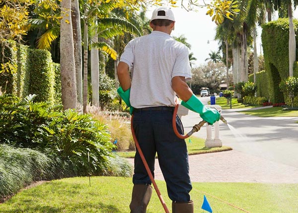 About Pettus TX Pest Control